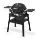 Weber Q 1200 N STAND | Plynový gril se stojanem